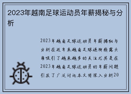 2023年越南足球运动员年薪揭秘与分析